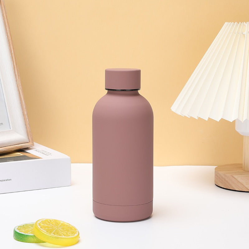 Double Wall Stainless Steel Leakproof Thermal Water Bottle